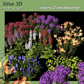 Garden Flowers vol.2